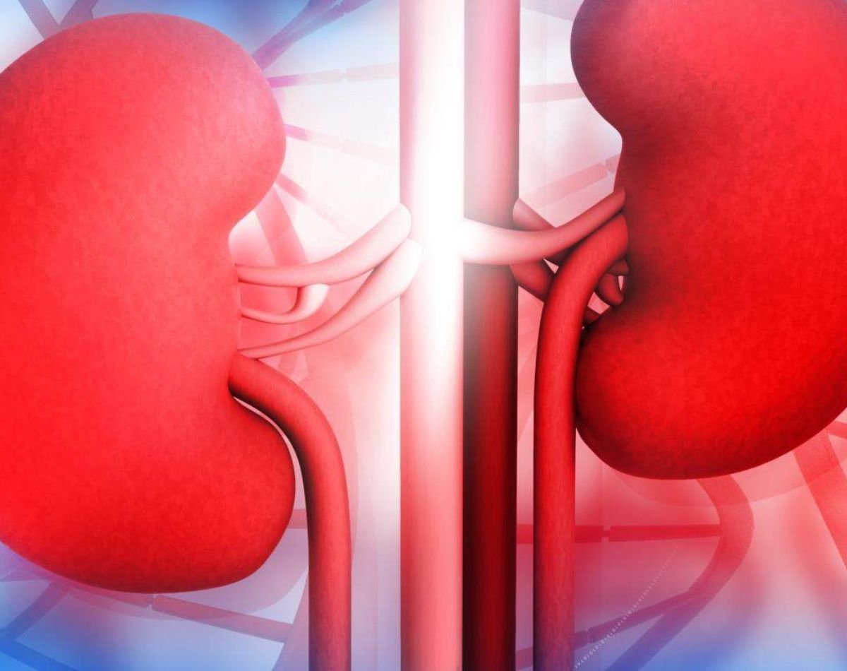 Kidney disease